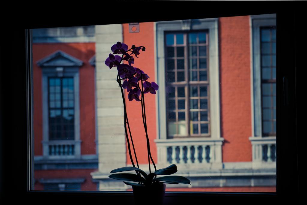 Appart-Hotel Leopold Liege Centre Rom bilde